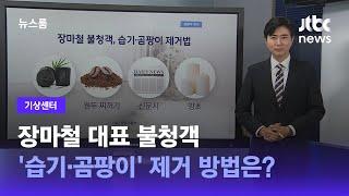 [기상센터] 장마철 대표 불청객 '습기·곰팡이' 제거 방법은? / JTBC 뉴스룸