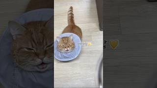 덕배: 밥은 먹었고? 난 지금먹어️