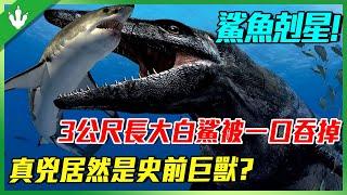 深海中的神秘殺手，一餐就吃一條大白鯊！3米長巨鯊被一口吞掉，人造潛水器也被咬爆？