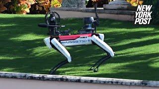 Trump beefs up security with robot dog seen patrolling Mar-a-Lago estate