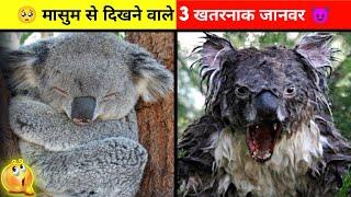 Top 3 Dangerous Animals In The World  || Fact Verse Official || #shorts #animal