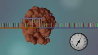 DNA Sequencing - 3D