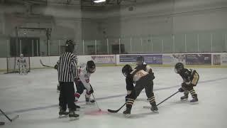 U12 Select Waterloo Wolves 8  Burlington Bulldogs 2