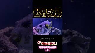 它的毒性遠比氰化物及砷更高，以氰化物為例，河豚毒素是氰化物的1200倍（上）｜世界之最 World's Top