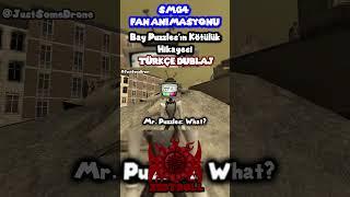 Bay Puzzles'ın Kötülük Hikayesi  #fypシ #turkcedublaj #seslendirme #smg4 #keşfet #animasyon