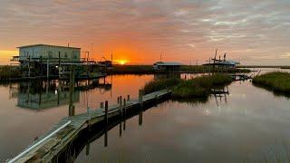 I Spent the Night in the Marsh, and Caught TONS of Fish!