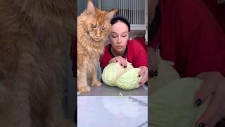 рецепт для тех, кто не хочет талию таких же размеров как у меня! #еда #готовимдома #пирог
