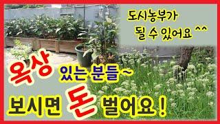 옥상텃밭 만들기 / 내 돈 적게 들이고 옥상텃밭 만드는 법 / 쑥이네옥상
