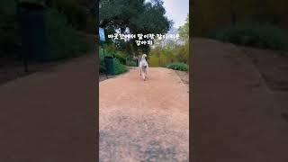 #shorts #video 마굿간에서 큰 강아지 #pets #animals #a stable #마굿간 #with horse #dog #귀여움 #pretty #말 #viral