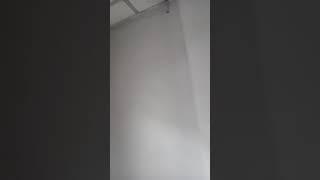 Сегодня я штукатур, маляр, отделочник, ремонтник. ADT Moscow autodoc.ru Дмитровское шоссе 52к1