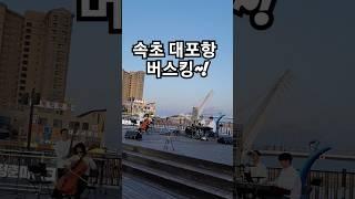 속초에 가면 매주말 버스킹이 열리는곳