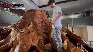 복잡한 나무 조경물은 어떻게 디지털화할까? ㅣ위딧ㅣ3D스캐너ㅣ3Dscanner