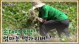 손대면 뚝딱! 엄마는 맥가이버!? MBN 210820 방송