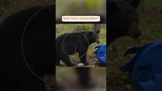 Bear hunt with a bow #gohuntinnorthernontario  #discoveron  #bearhunting #bear #shortsvideo