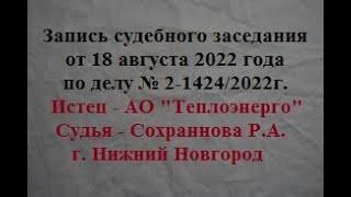 Запись судебного заседания одной из участниц площадки.