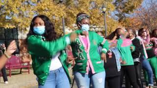 New Haven AKAs Stroll To Celebrate Kamala Harris' Win