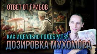 Как подобрать ИДЕАЛЬНУЮ дозу Мухомора для Микродозинга. Об этом рассказали сами ГРИБЫ!