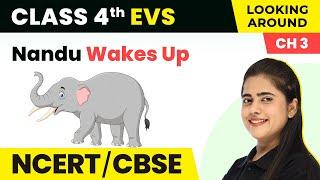 Nandu Wakes Up - A Day With Nandu | Class 4 EVS