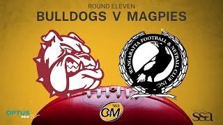 R11 2023 - Wodonga Bulldogs vs Wangaratta Magpies