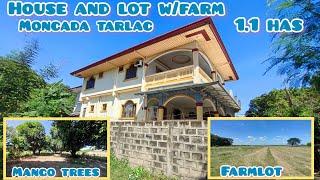 lot 487 House and lot w/ mango trees,may taniman ng palay,gulay,mais 1.1 has 7M price moncada tarlac