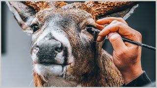 My Biggest Buck is BACK TO LIFE | The Art of Taxidermy