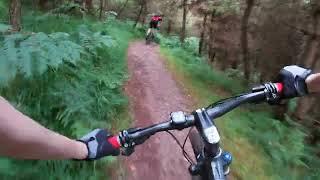 First time at Cannock Chase Follow The Dog (July 2024)