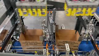 TL 20 Top Load Case Packer, Cans and Jars of Prune Products - BW Integrated Systems