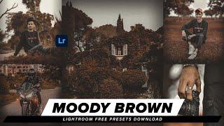 Brown Tones (Moody) Presets - Lightroom Mobile Presets DNG || Brown Moody || Lr Free Preset Download