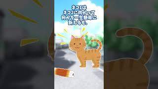 【2chほっこり】ちくわをくわえた猫が急に立ち止まり・・・ちくわを落として行った #Shorts #2ch