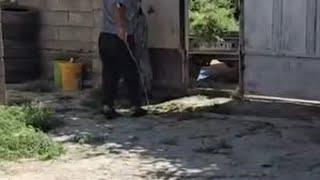 普利亚的家里人失去了很多的东西 #游牧生活