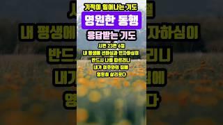 영원한 동행|기적이 일어나는 기도|#말씀조은tv #목양교회 #조현상목사 #성경암송 #말씀묵상큐티 #기도