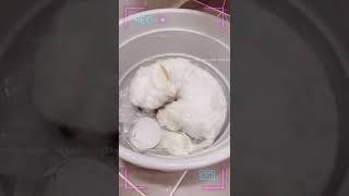 강아지 바캉스 #shorts