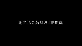 爱了很久的朋友 田馥甄 (歌词版)