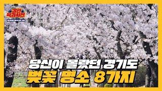 찾았다, 내 벚꽃 맛집 경기도 벚꽃 명소 8가지 | 경관백과사전 ep.01