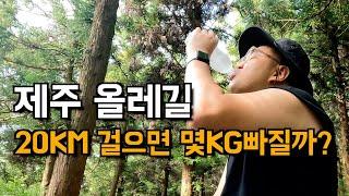 고도비만 하루 20km 걸으면 얼마나 살이 빠질까 | 제주도 올레길 7-1코스 걷기