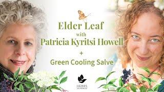 Elder Leaf with Patricia Kyritsi Howell + Green Cooling Salve