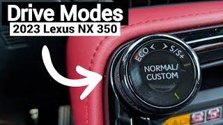 Drive Modes of the 2023 Lexus NX 350