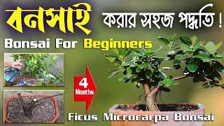 বনসাই গাছ বানানোর সহজ পদ্ধতি ! How to make bonsai tree at home !