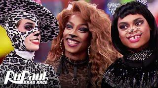 Watch Act 1 of S12 E9  Choices 2020 | RuPaul’s Drag Race