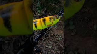 Unveiling Savage Gear 4Play Swimbait