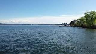 Drone Video of Leschi waterfront in Seattle Washington