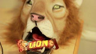 Never Say No To Lion (Panda Cheese parody)