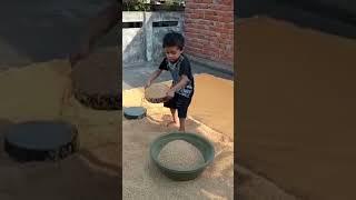 chhota babu ️ कृषि कार्य #shorts#viralvideo#shortsvideo#short#rockstar#trending#video#viral