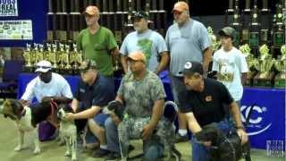 2012 UKC Coonhound World Championship | United Kennel Club