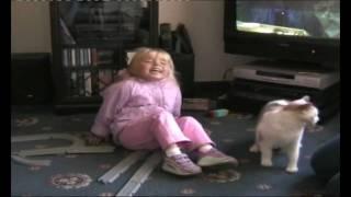 Funny Cat! (Sep' 2005)