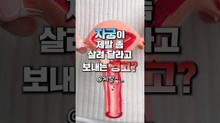 이건 자궁의 적신호! #메타웰 #자궁 #자궁근종 #통증 #생리통 #생리 #월경 #건강정보 #건강관리 #건강꿀팁 #건강상식 #건강 #음식 #근육