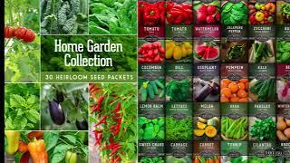 Home Garden Heirloom Seed Collection - 30 Varieties