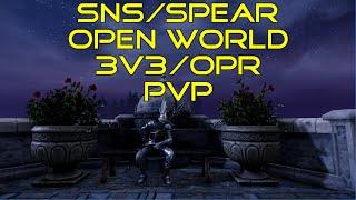 New World: Aeternum - PvP Open World/3v3/OPR