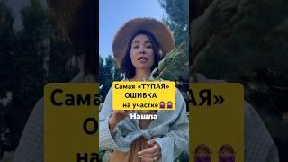 НИКОГДА НЕ делайте так ‍️ #загородныйдом #сад #садоводство #миксбордер