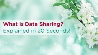 What is Data Sharing? Explained in 20 Seconds!